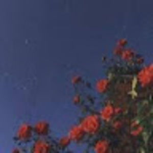 Meet your Posher, Liqwid